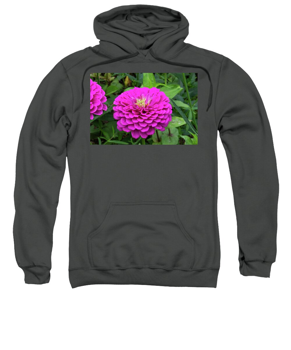 Flower Sweatshirt featuring the photograph Bright zinnia by Brian Weber