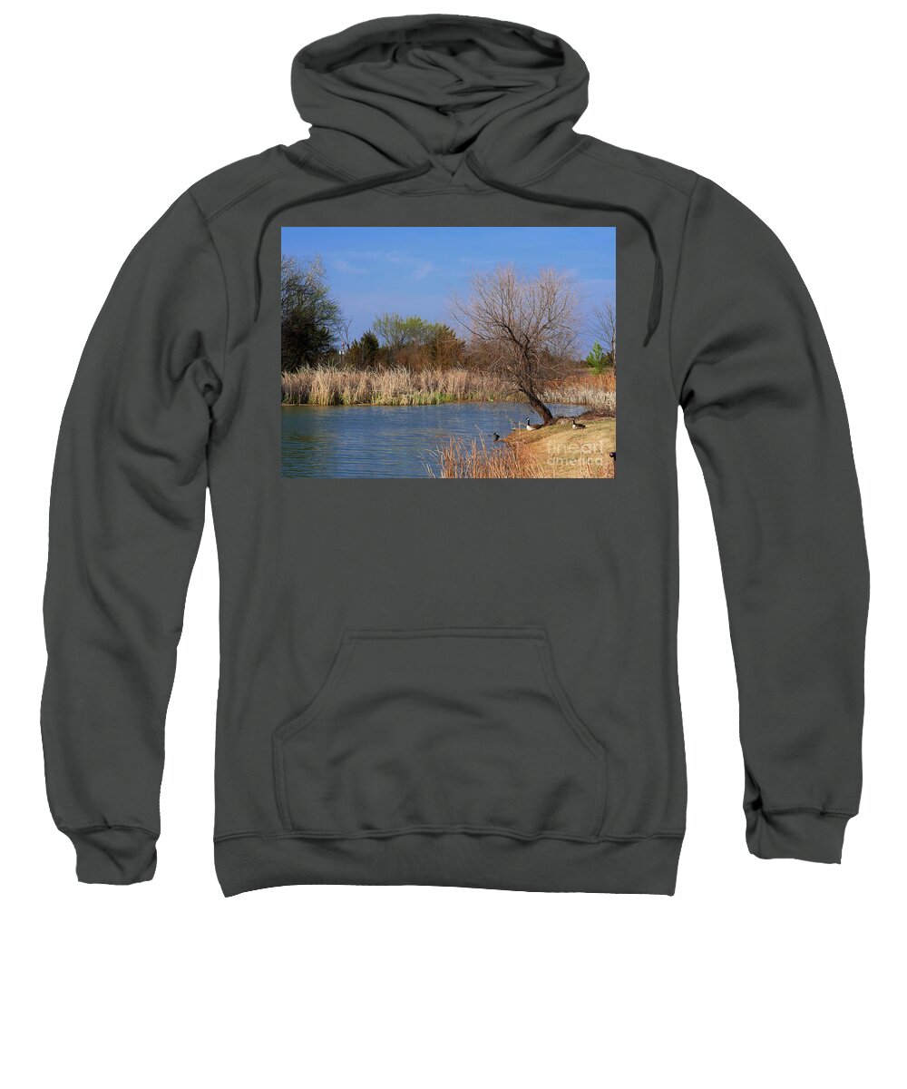 Travel Sweatshirt featuring the photograph Brown and Blue by On da Raks