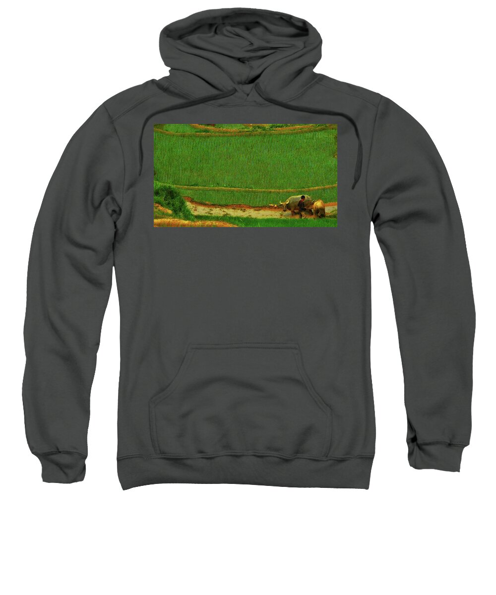 Buffalo Sweatshirt featuring the photograph Buffallos on the rice field by Robert Bociaga