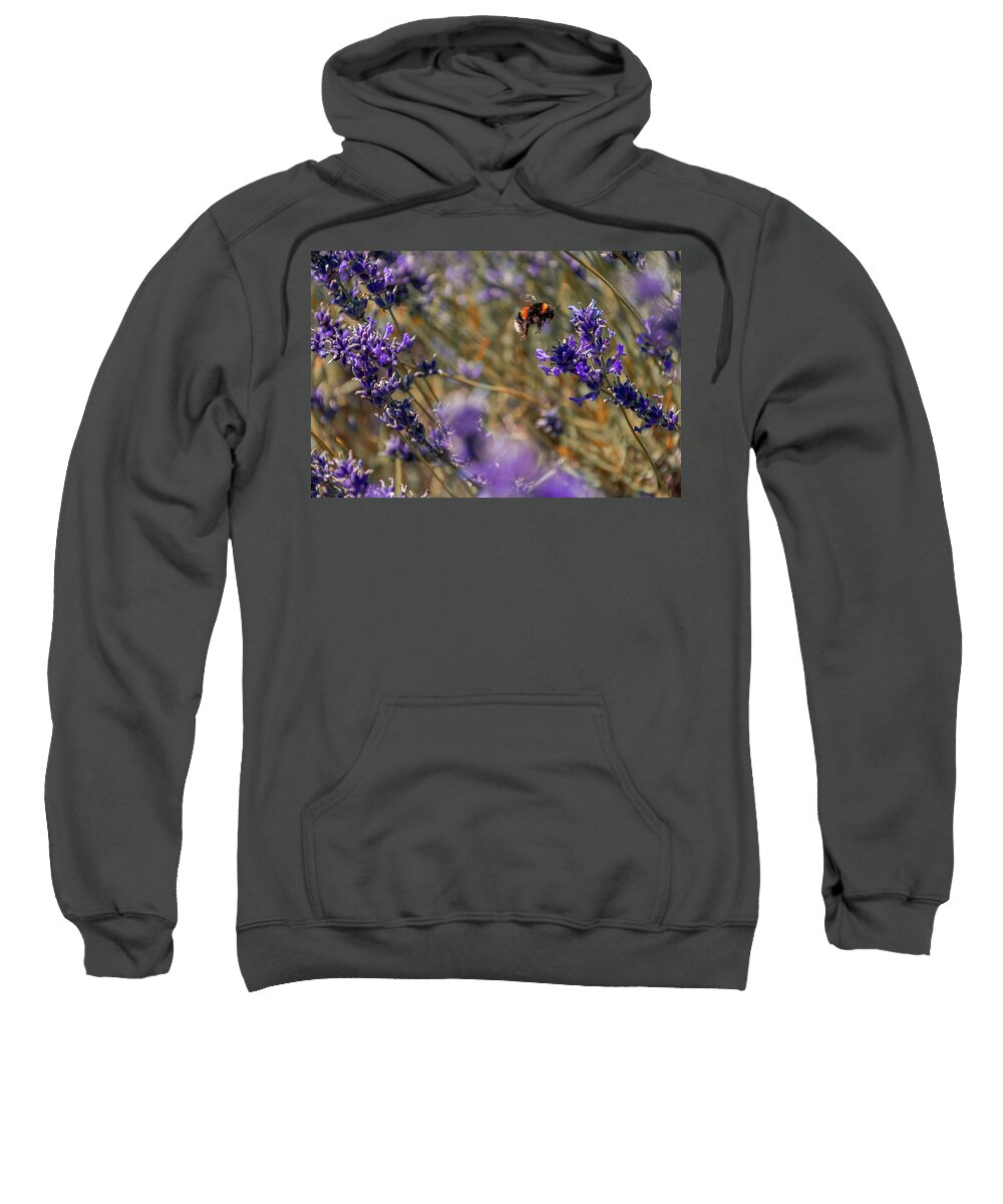  Sweatshirt featuring the photograph Bumble Bee Flying by Angela Carrion Photography
