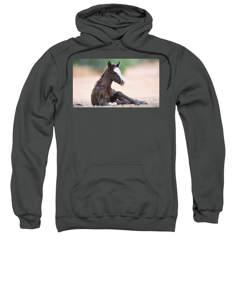 Cute Foal Sweatshirt featuring the photograph Cactus Fire by Shannon Hastings