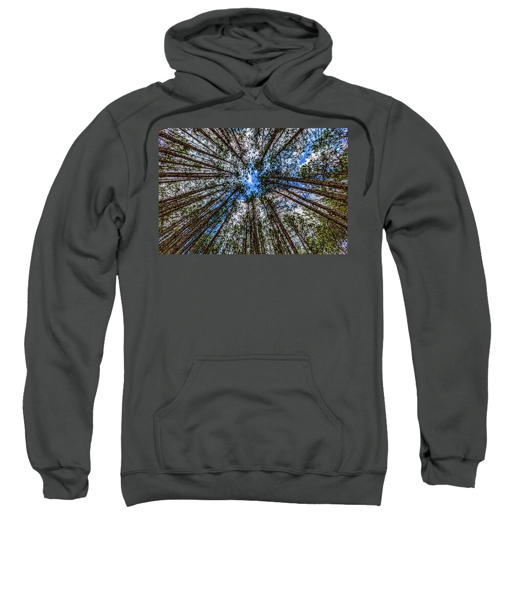 Higgins Lake Sweatshirt featuring the photograph CCC Pines Lookup by Joe Holley