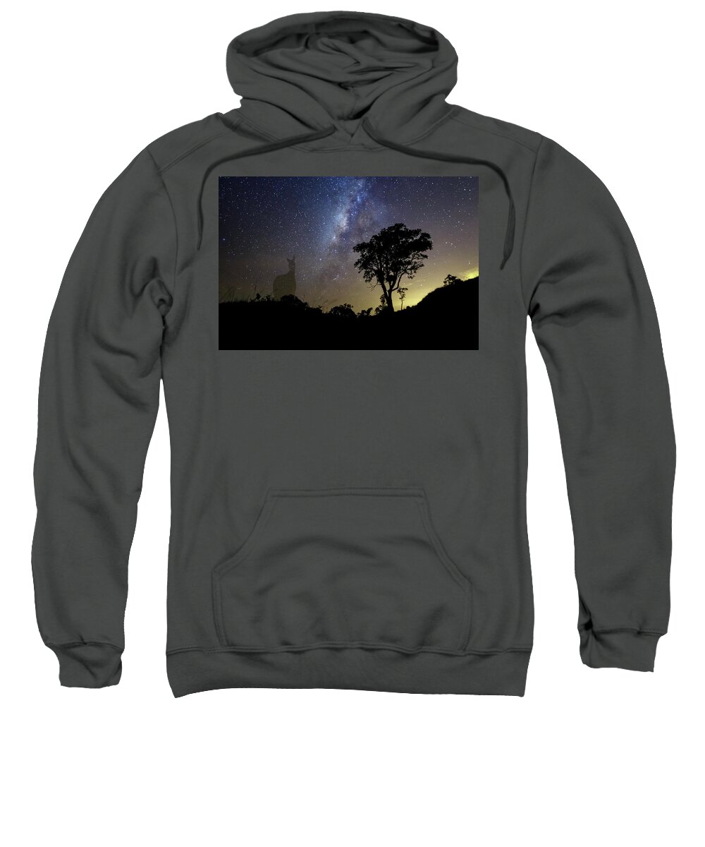 Cerro Kennedy Sweatshirt featuring the photograph Cerro Kennedy Sierra Nevada de Santa Marta Colombia by Tristan Quevilly