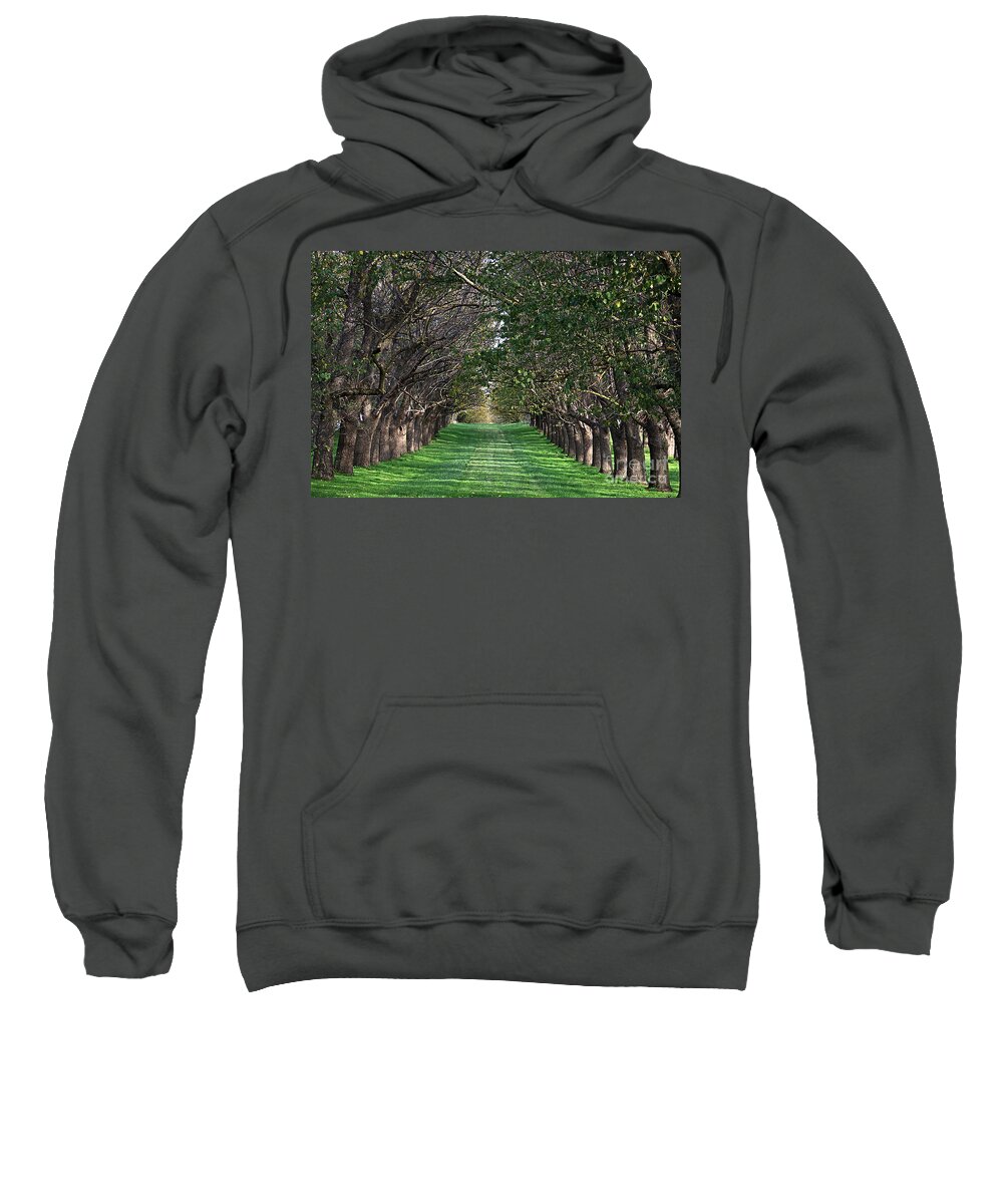 Joy Watson Sweatshirt featuring the photograph Chateau Yering - trees by Joy Watson
