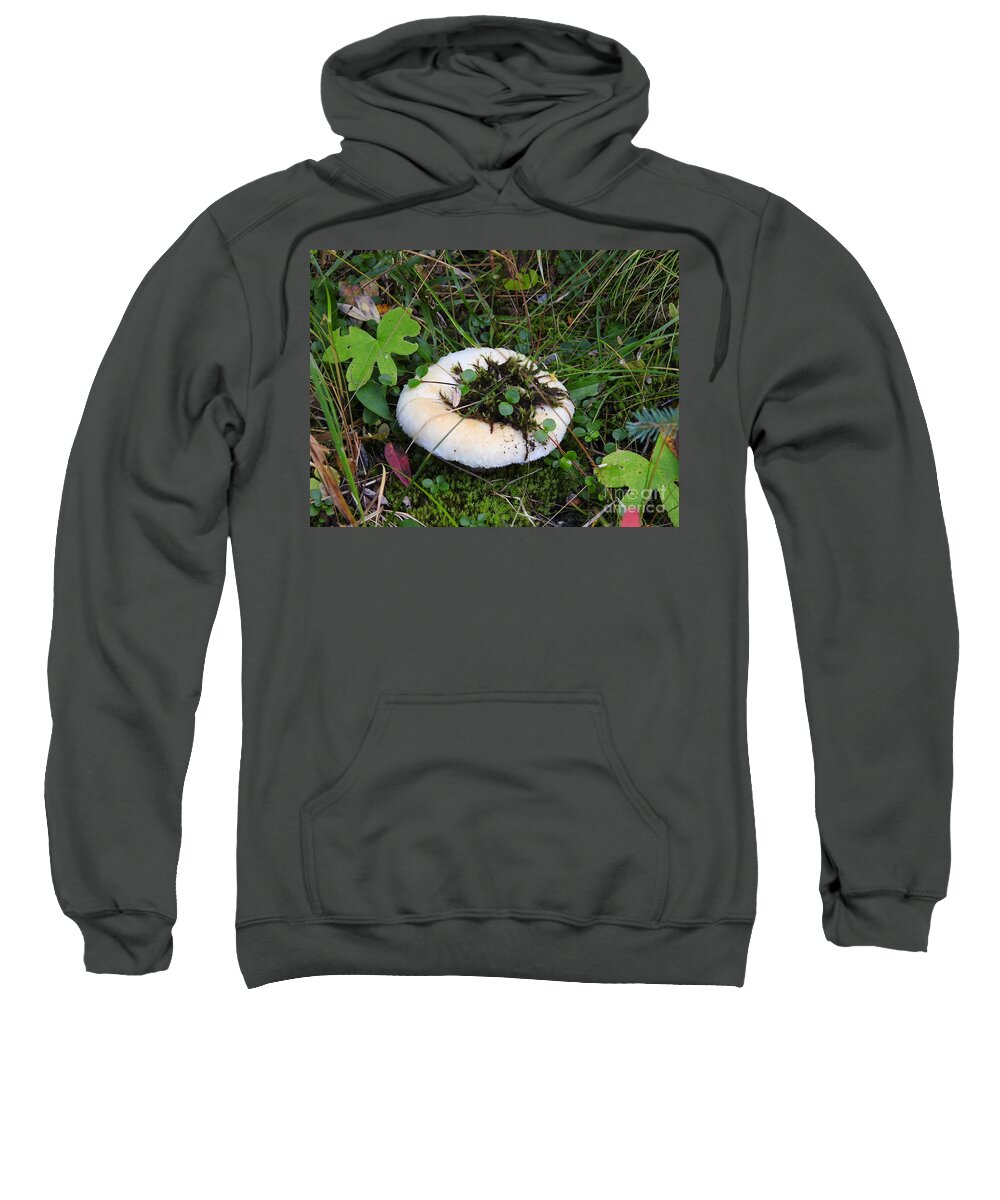 Mushroom Sweatshirt featuring the photograph Chilcotin Forest Mushroom Garden by Nicola Finch