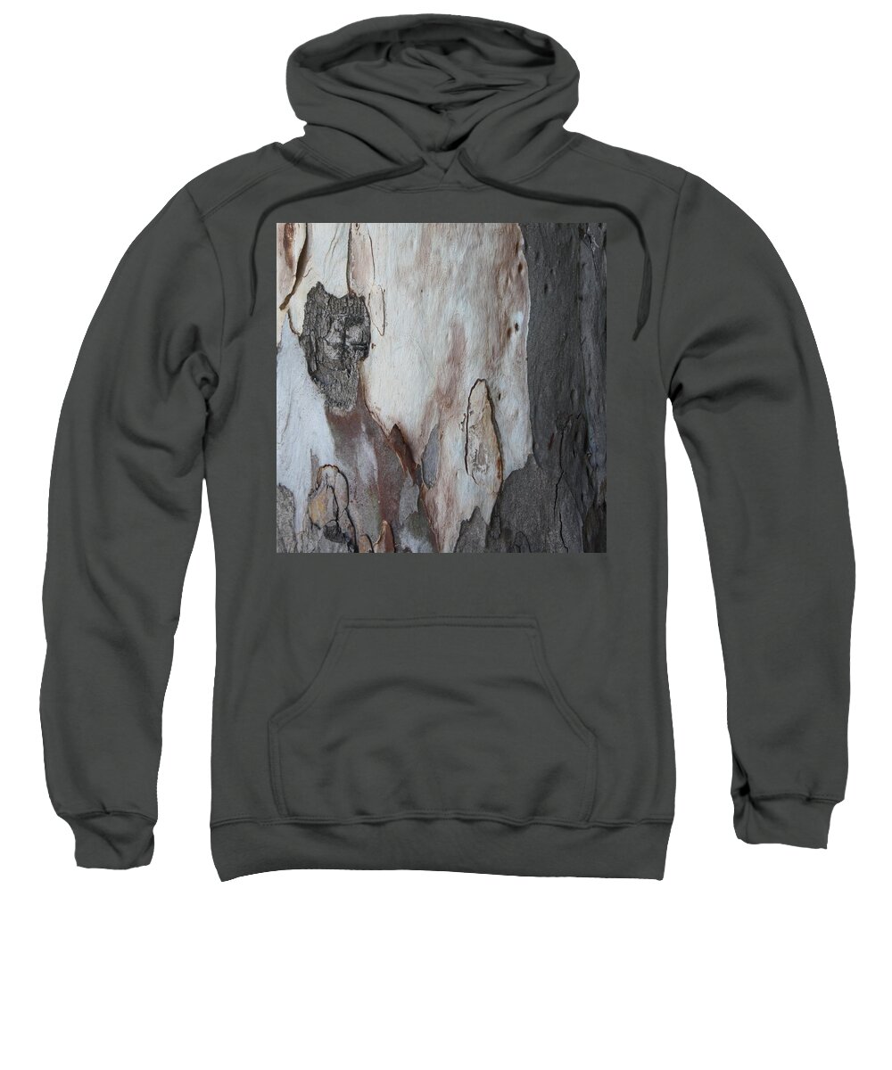 Eucalyptus Sweatshirt featuring the painting Close Up Abstract Of Blue Grey and Brown Bark by Taiche Acrylic Art