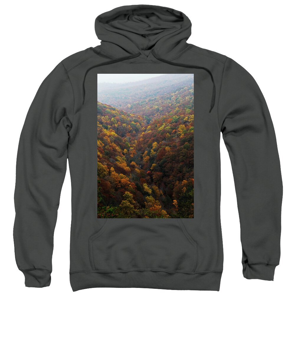 Cloudland Canyon Sweatshirt featuring the photograph Cloudland Canyon - Georgia by Richard Krebs