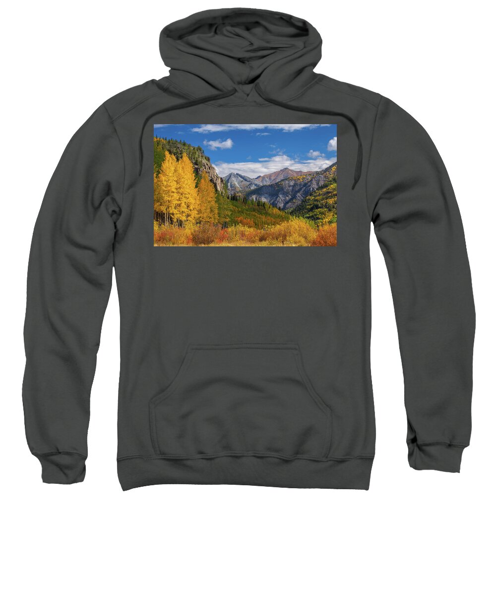 Fall Sweatshirt featuring the photograph Colorado's Carpet of Color by Darren White