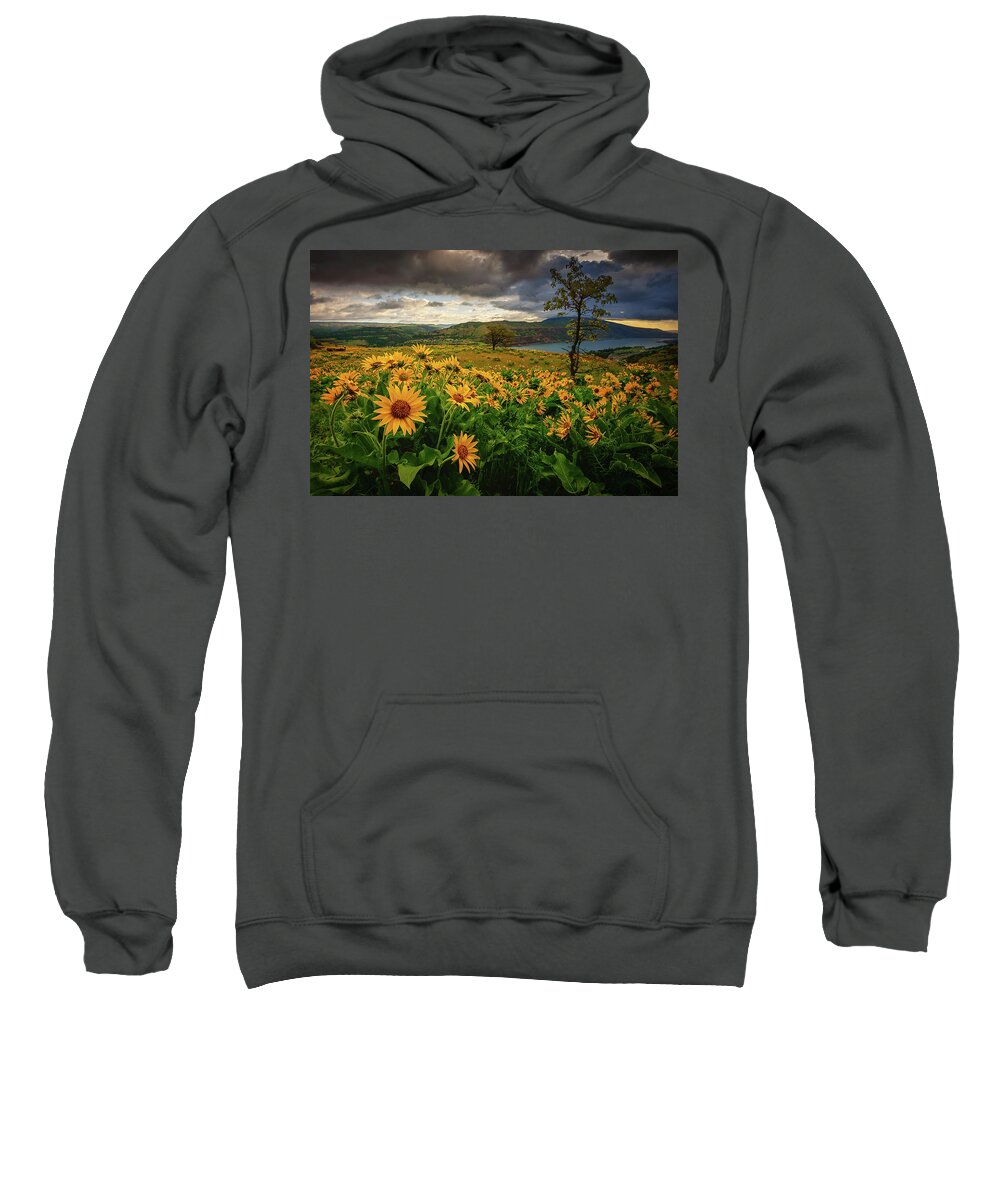 Rowena Crest Sweatshirt featuring the photograph Columbia Gorge Blooms by Dan Mihai