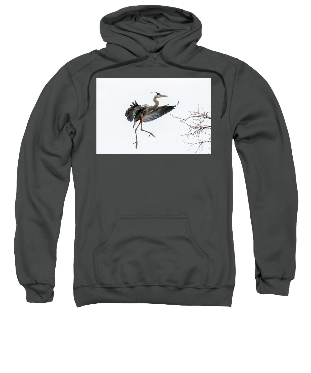  Sweatshirt featuring the photograph Coming in for a Landing by Jim Miller