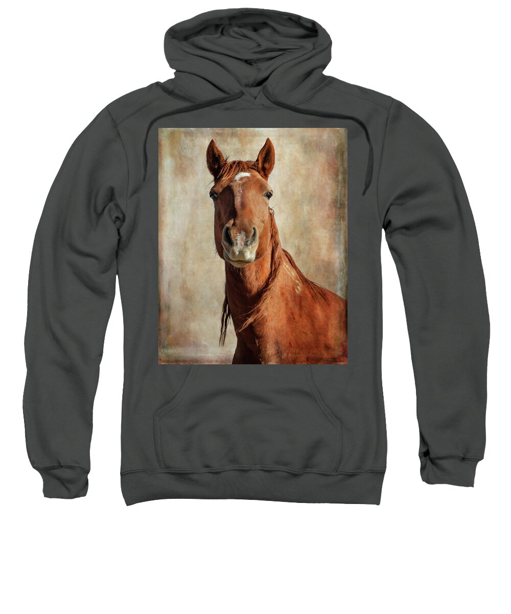 Wild Horses Sweatshirt featuring the photograph Connection by Mary Hone