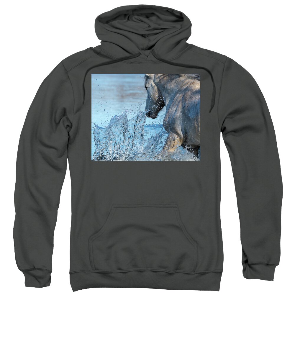 Wild Horses Sweatshirt featuring the photograph Cool Blue by Mary Hone