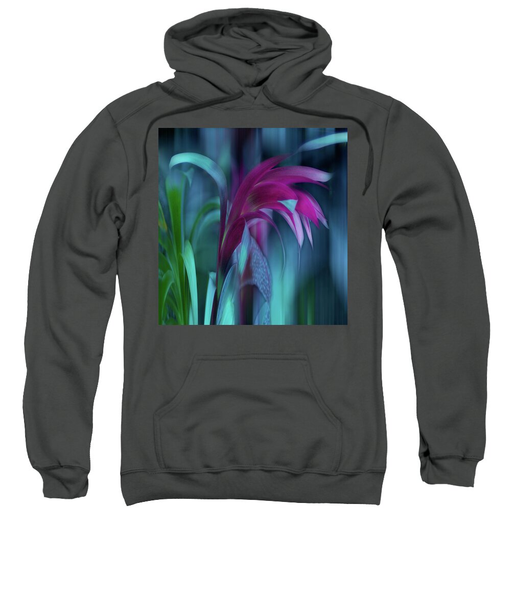 Abstract Sweatshirt featuring the photograph Cornflower Dreams Mindscape by Wayne King
