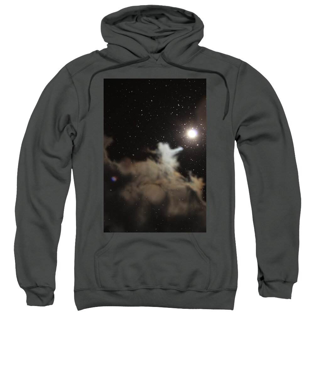 Jane Ford Sweatshirt featuring the photograph Cosmos in Water by Jane Ford