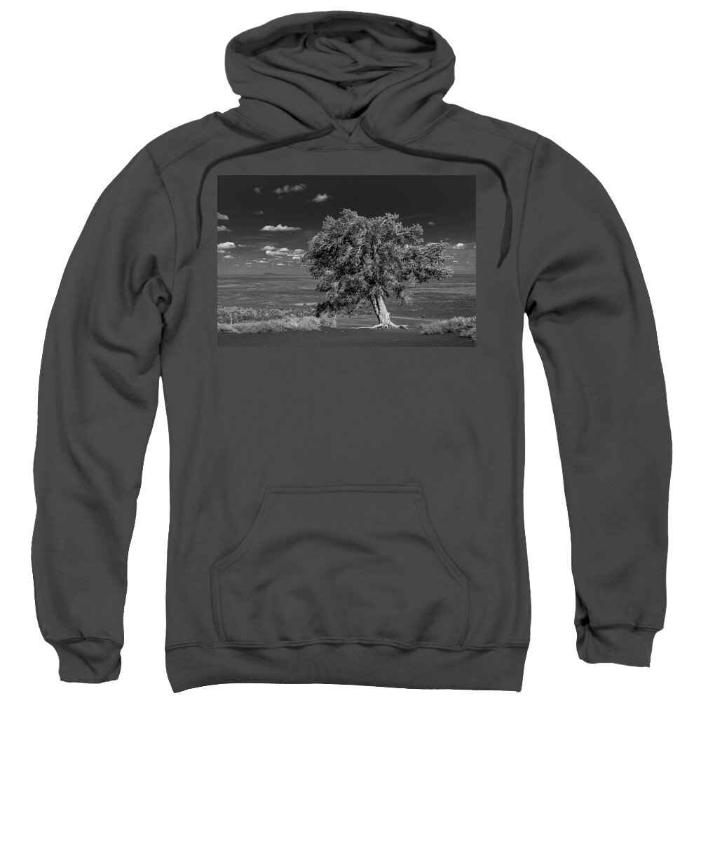 Craters Of The Moon National Monument & Preserve Sweatshirt featuring the photograph Craters of the Moon Tree by Matthew Irvin