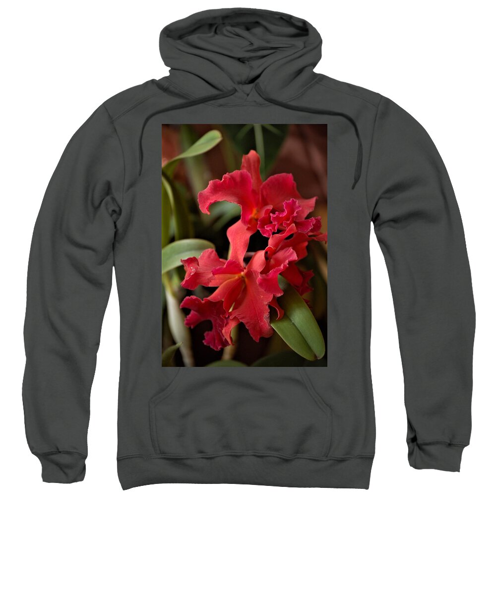Orchid Sweatshirt featuring the mixed media Crimson Cattleya Orchids by Nancy Ayanna Wyatt