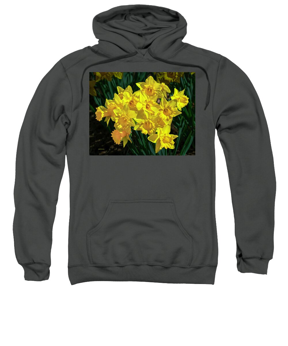 Flowers Sweatshirt featuring the photograph Daffodil Joy by Dale R Carlson