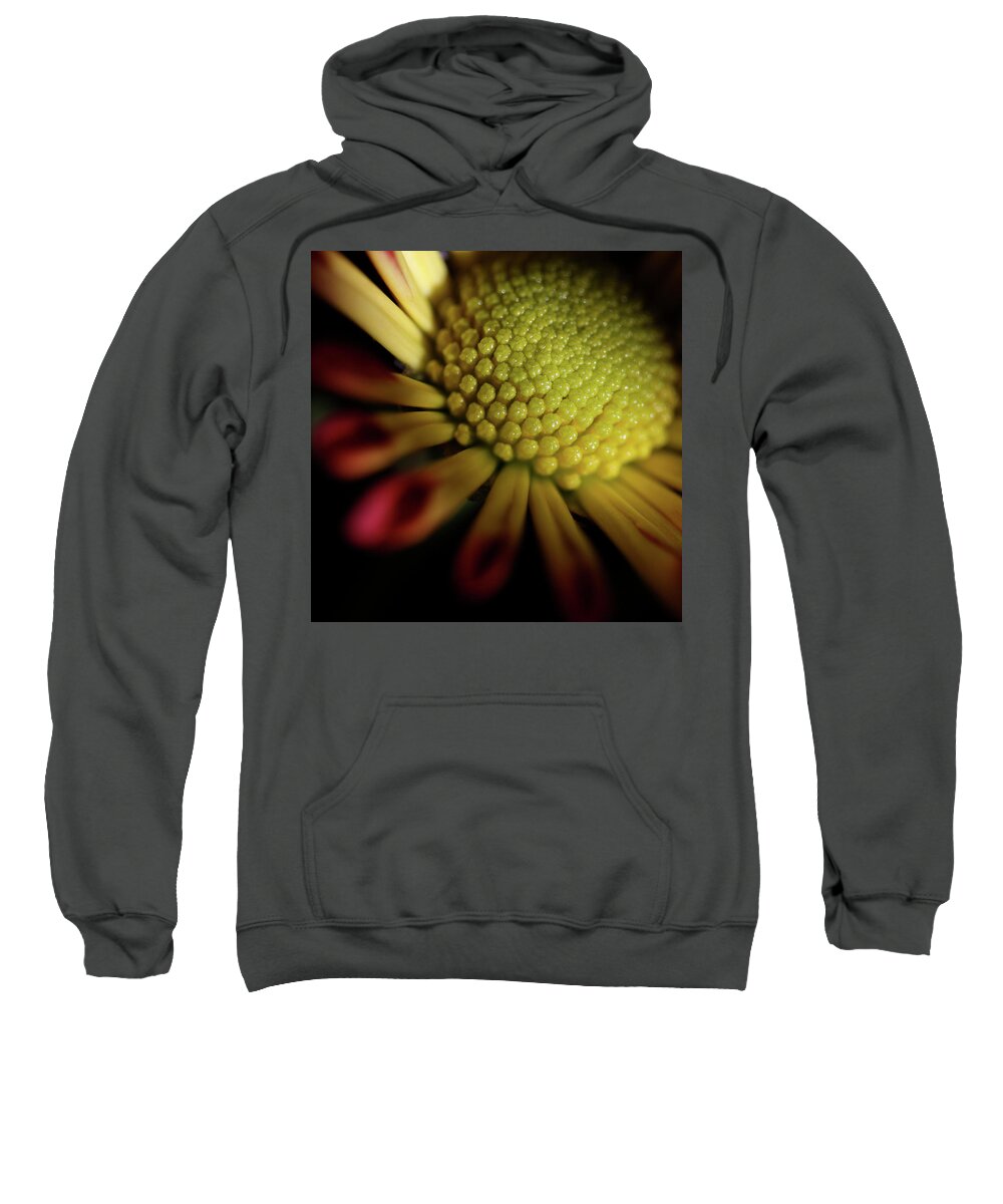 Macro Sweatshirt featuring the photograph Daisy 6043 by Julie Powell