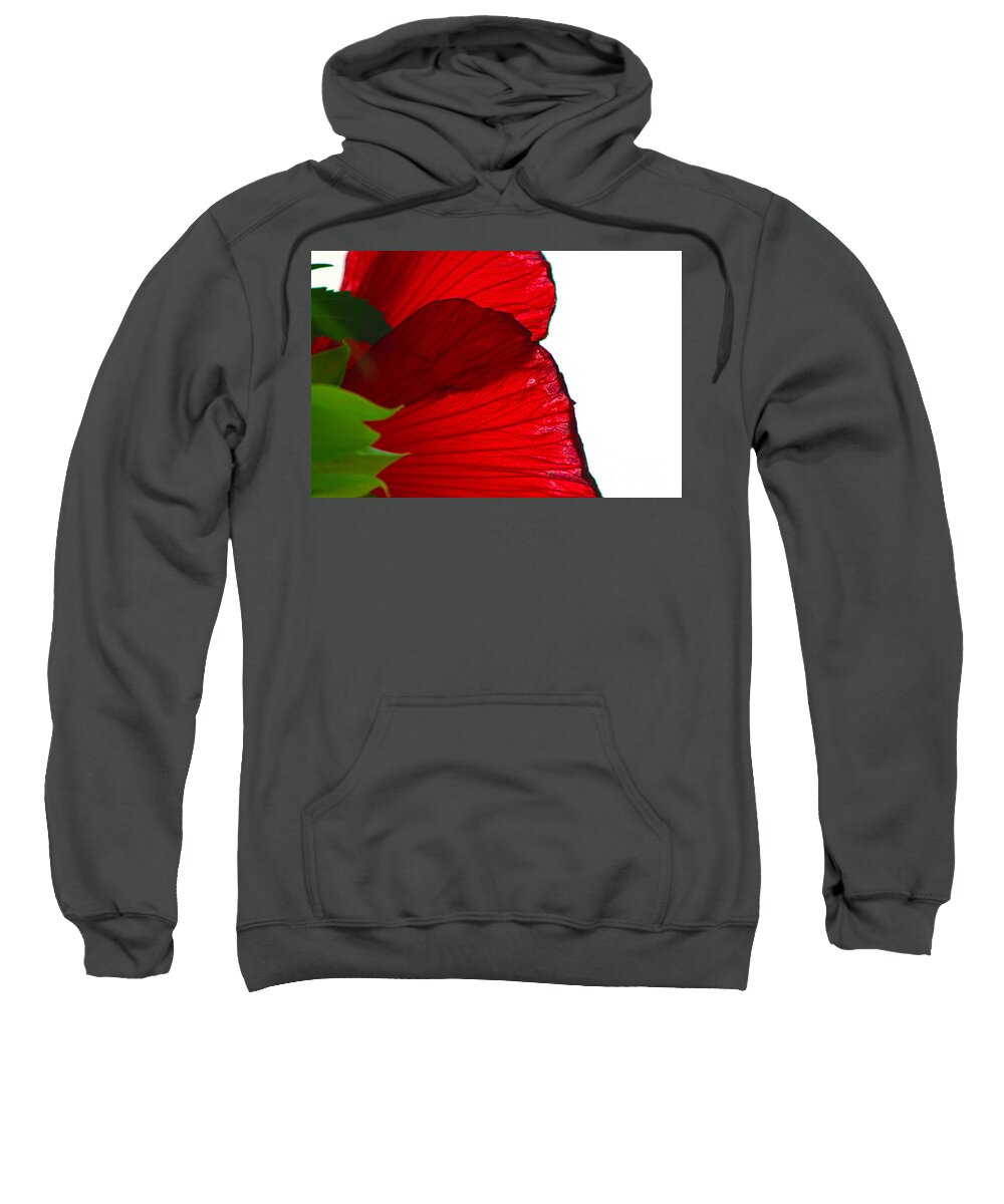 Nature Sweatshirt featuring the photograph Darling Red Hibiscus On White by Ash Nirale