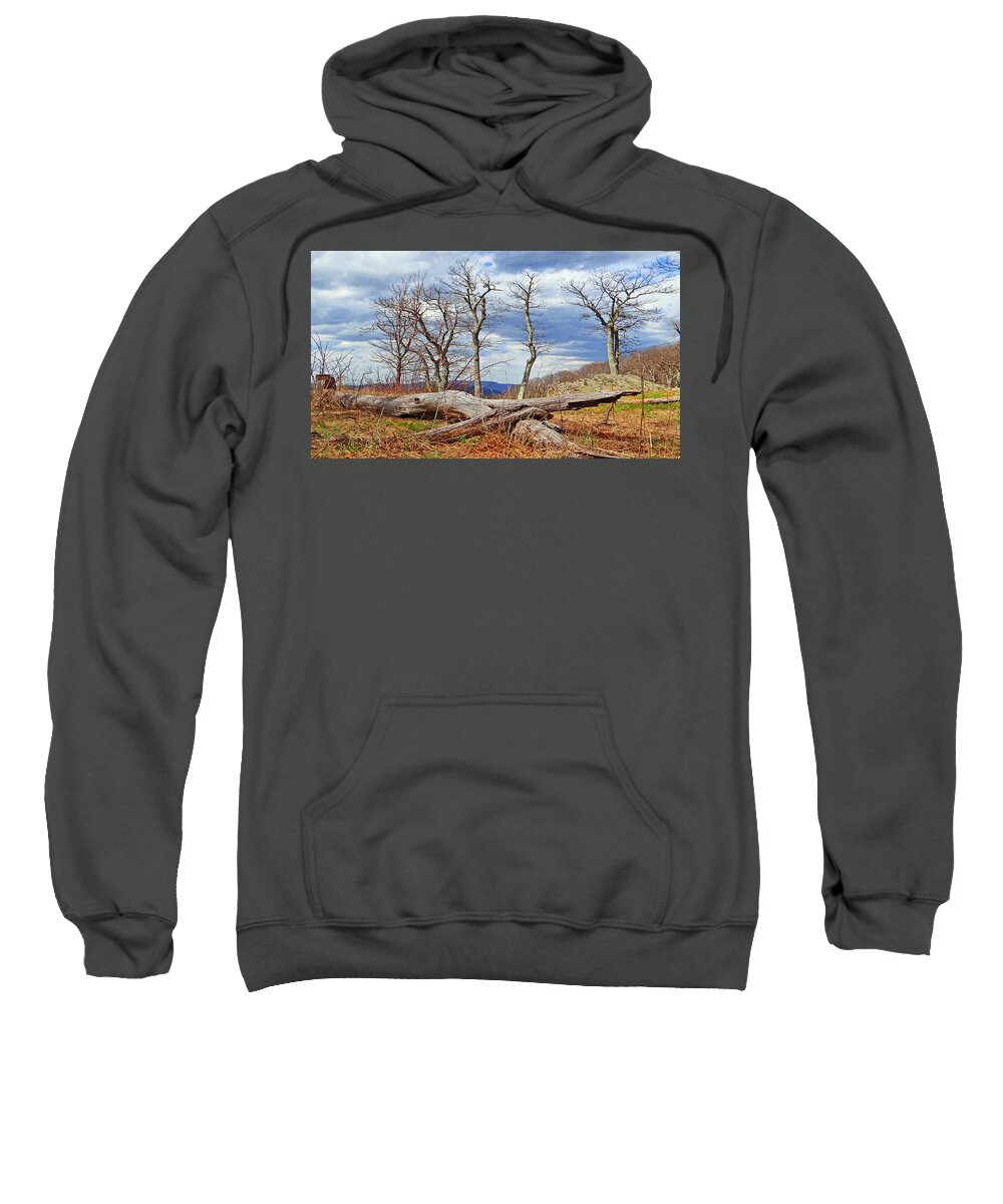 Dead Tree Cross Sweatshirt featuring the photograph Dead Tree Cross 2 by The James Roney Collection