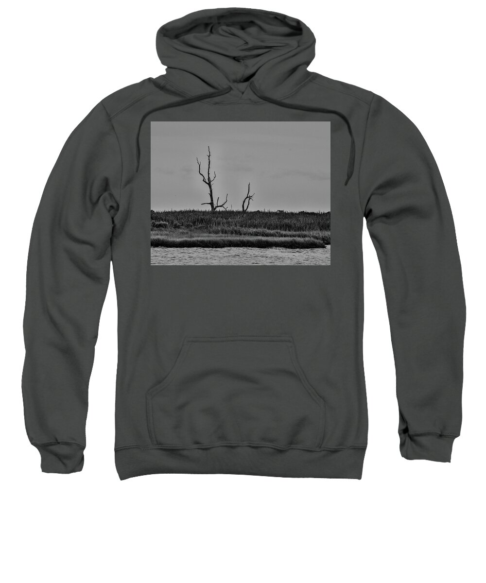 Trees Sweatshirt featuring the photograph Dead Trees on the Forked River by Alan Goldberg