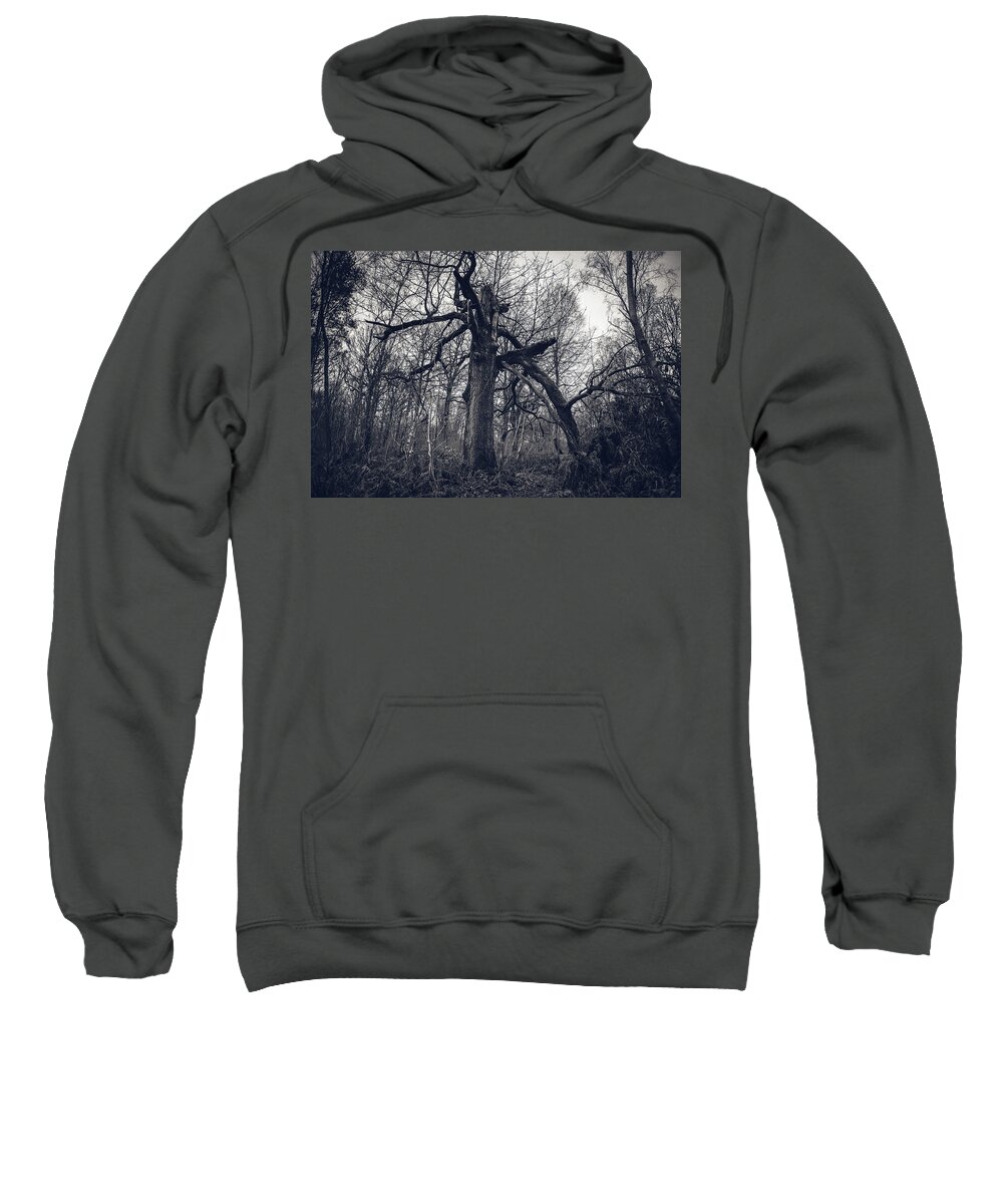 Autumn Sweatshirt featuring the photograph Death of a giant BW by Jean-Luc Farges