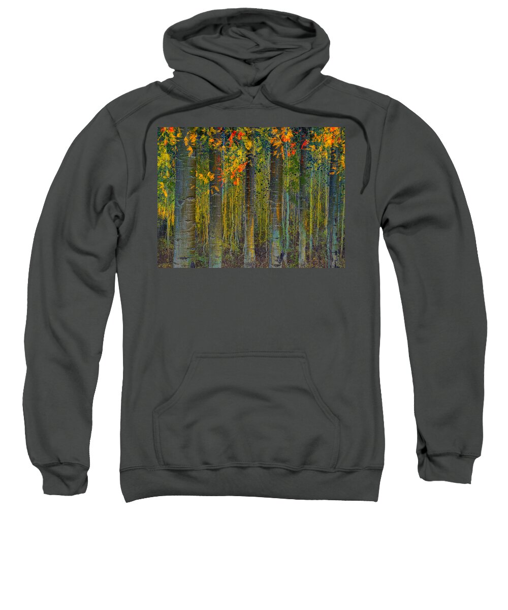 Forest Sweatshirt featuring the photograph Deep into the Aspens by Sandra Selle Rodriguez