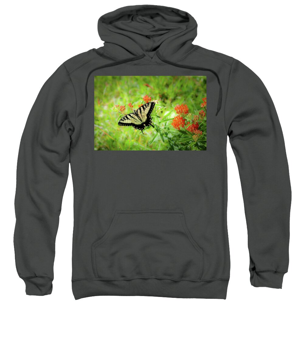 North Carolina Sweatshirt featuring the photograph Delicate Butterfly by Dan Carmichael