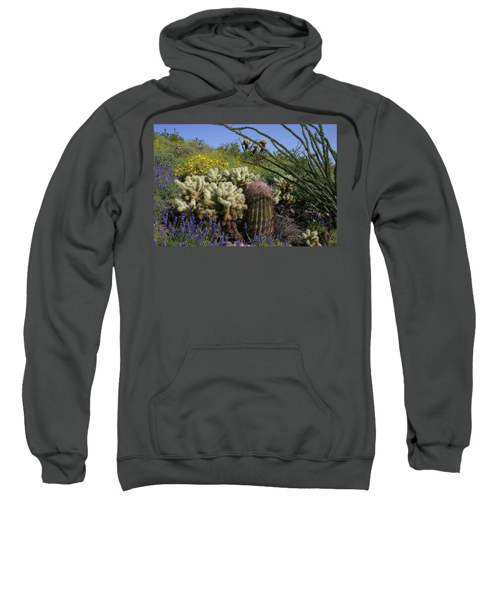 Desert Sweatshirt featuring the photograph Desert Cholla - Spring Wildflowers by Gene Taylor