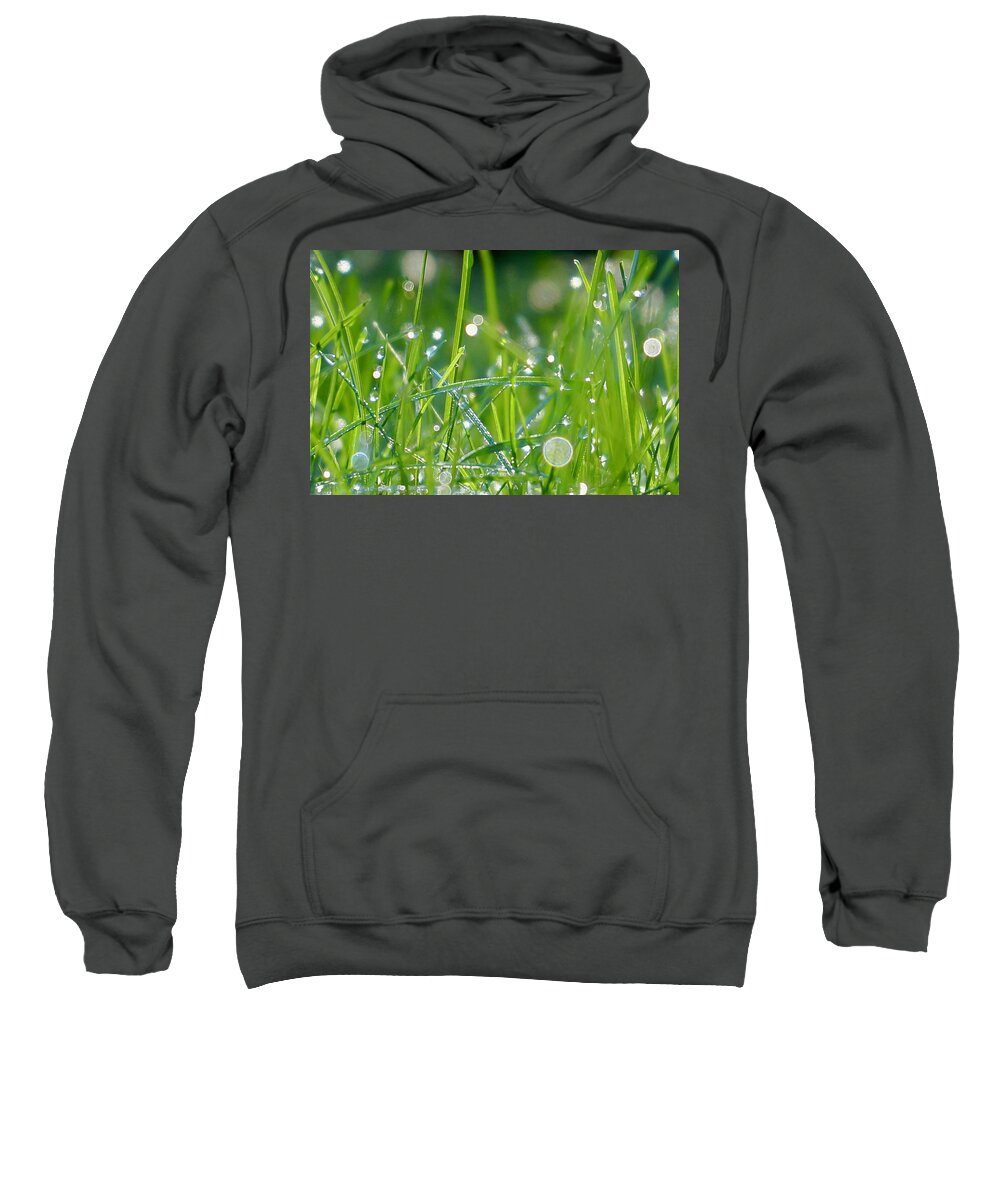 Dew Sweatshirt featuring the photograph Dew on Grass 2 by Michelle Mahnke