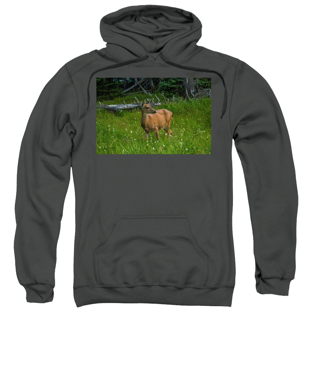 Olympic National Park Sweatshirt featuring the photograph Dinner at Dusk by Doug Scrima