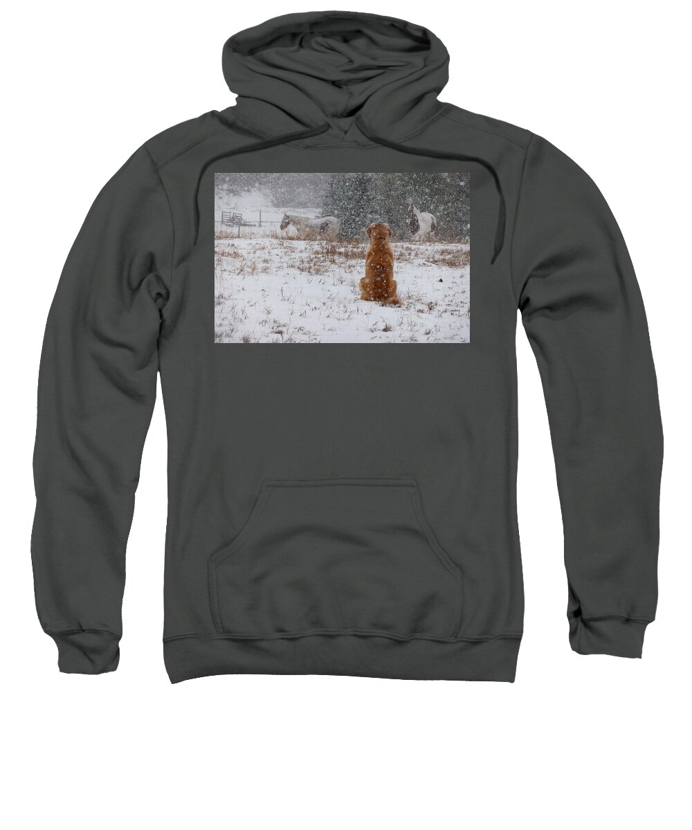 Snow Sweatshirt featuring the photograph Dog And Horses In The Snow by Karen Rispin