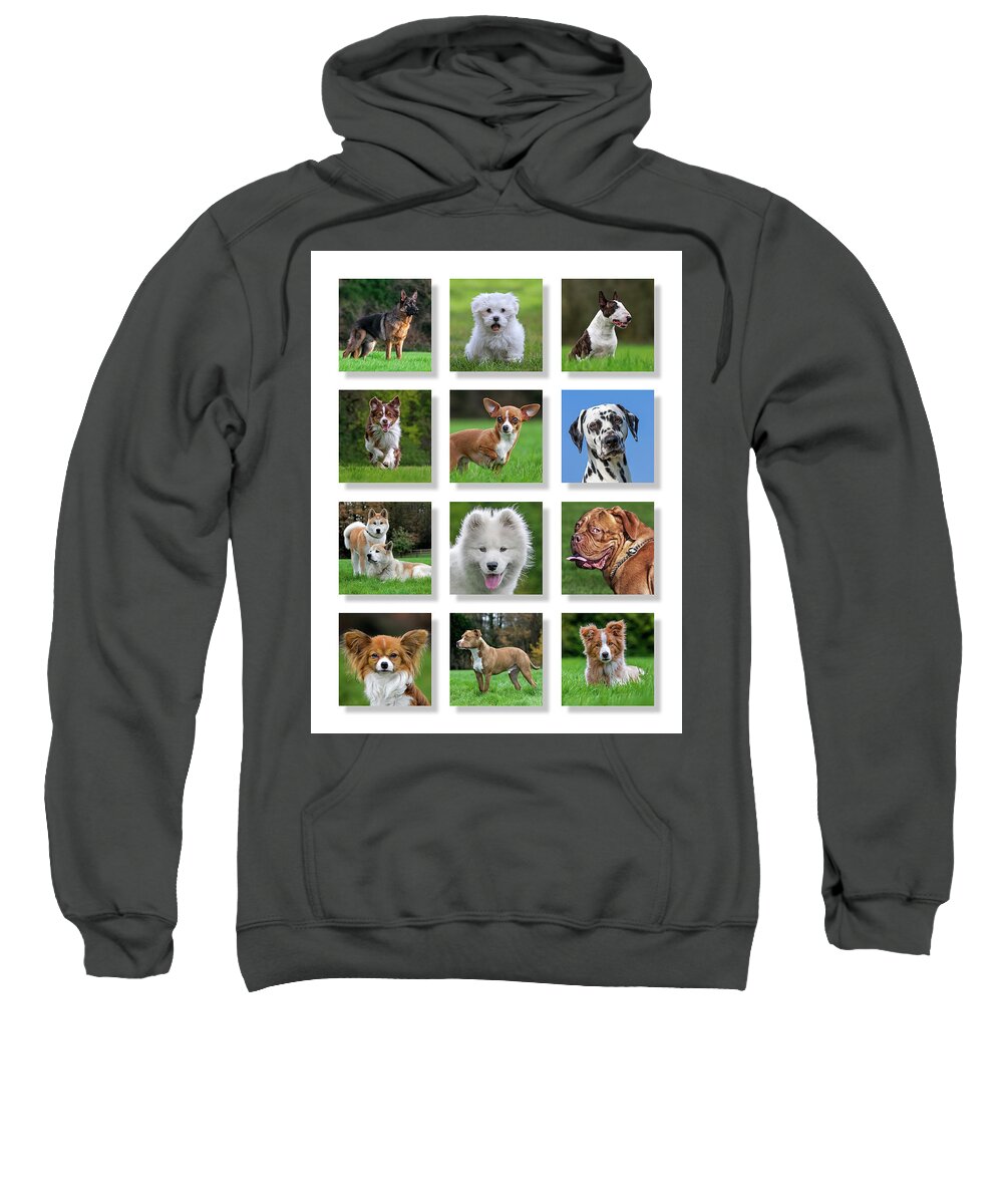 Collage Sweatshirt featuring the photograph Dog Breeds by Arterra Picture Library