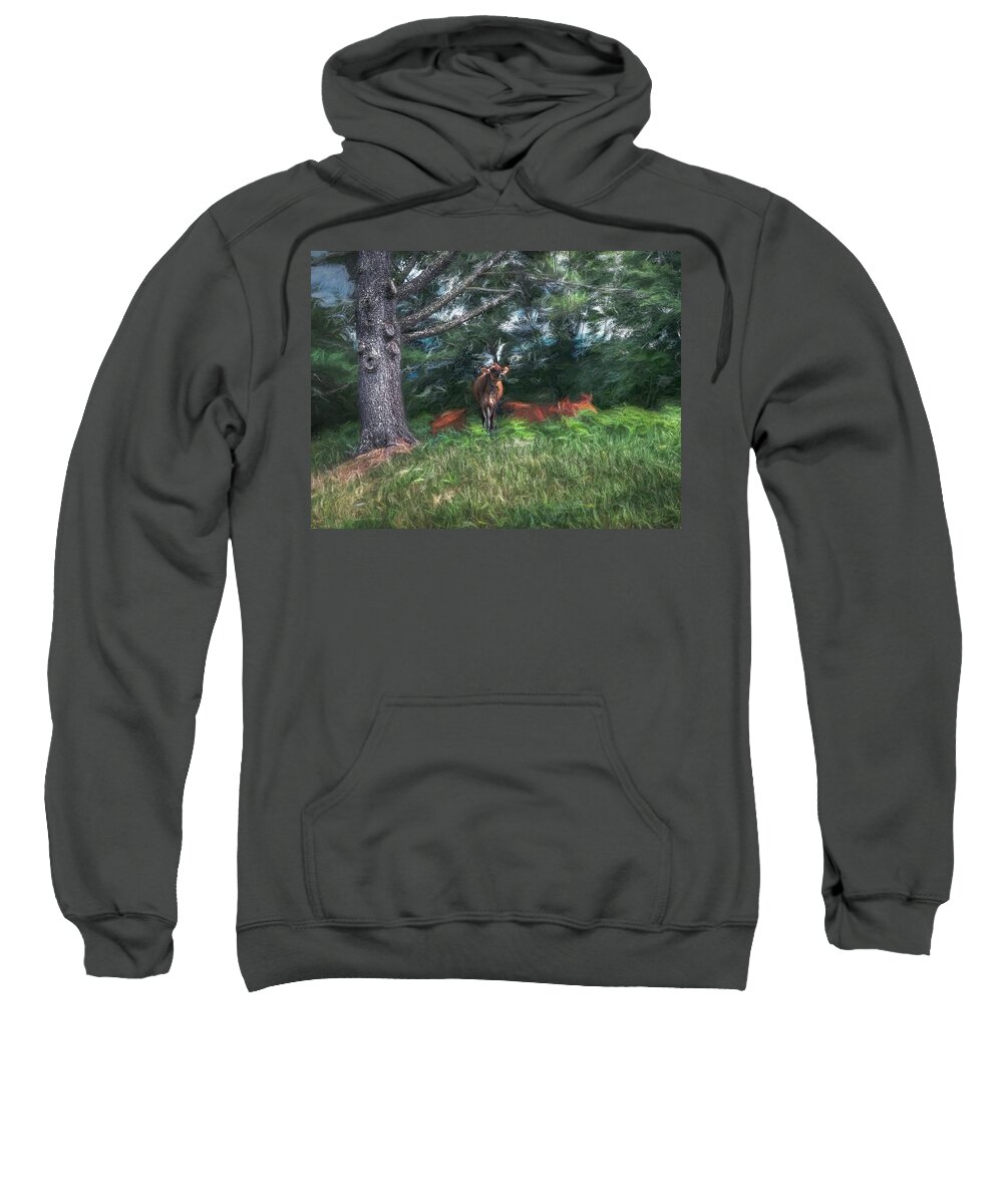 Jersy Sweatshirt featuring the photograph Dont Need a Weather Man by Wayne King
