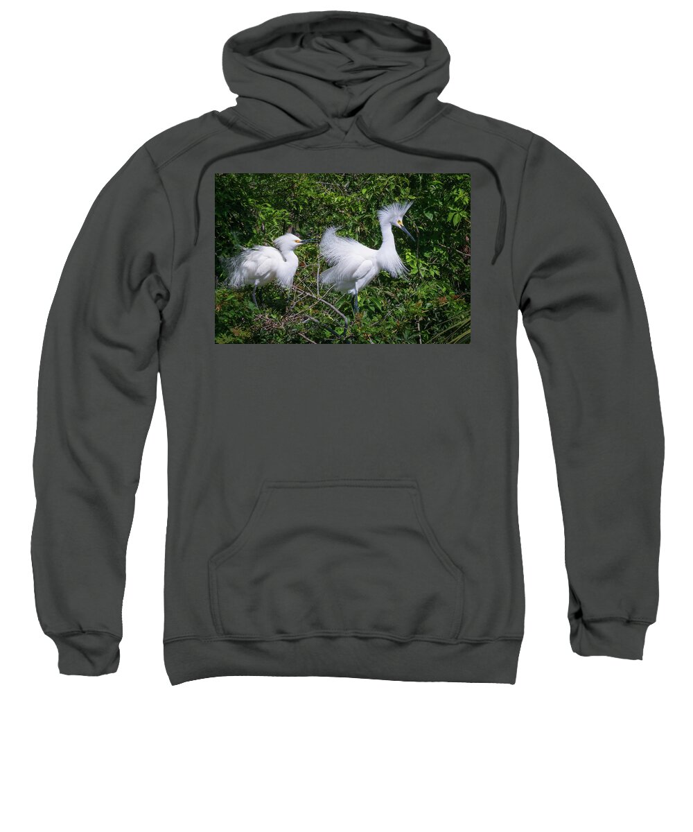 Egret Sweatshirt featuring the photograph Doo for Two by John Kirkland
