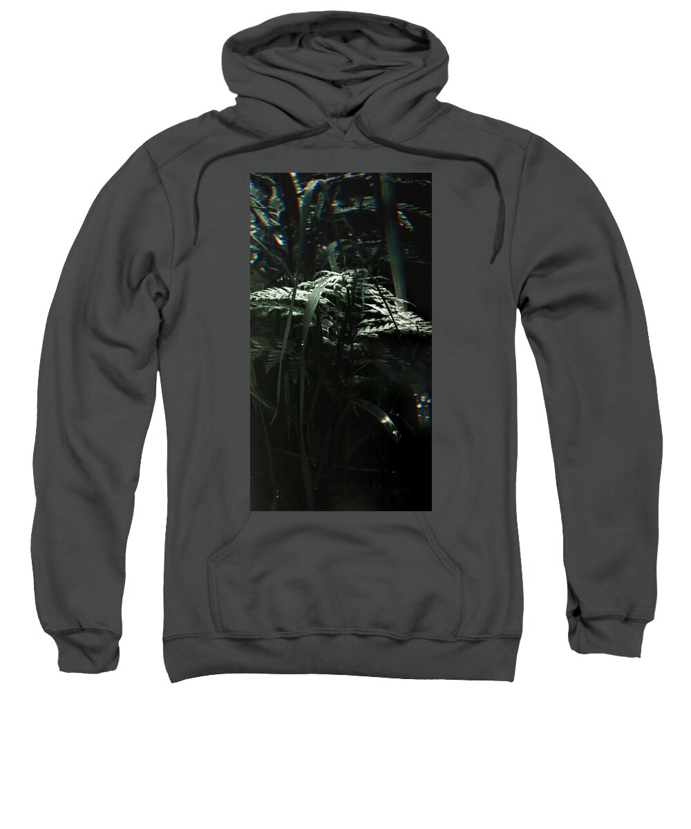 Leaves Sweatshirt featuring the photograph DROPLETS Magic Forest by Auranatura Art