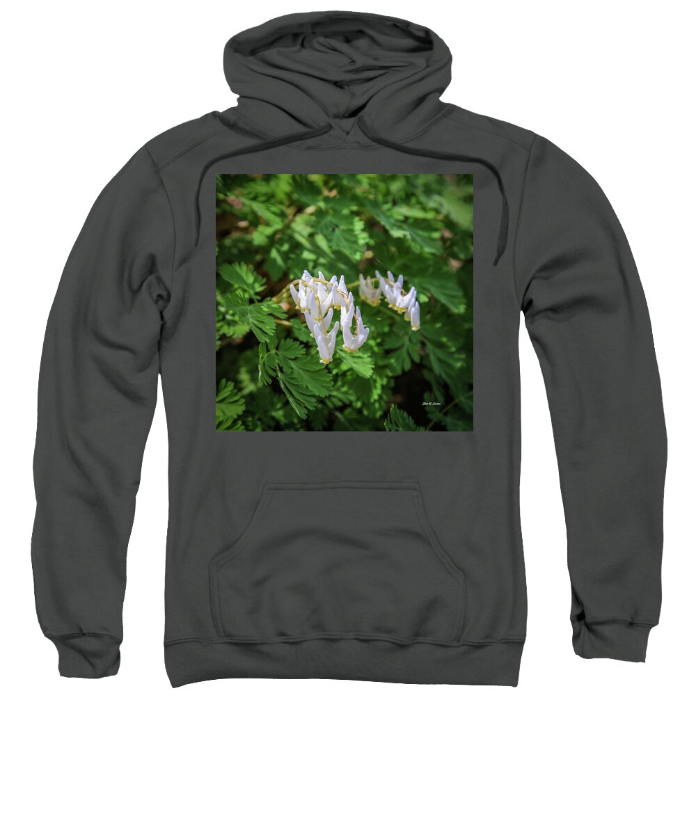 Dutchman's Breeches Sweatshirt featuring the photograph Dutchman's Breeches by Dale R Carlson