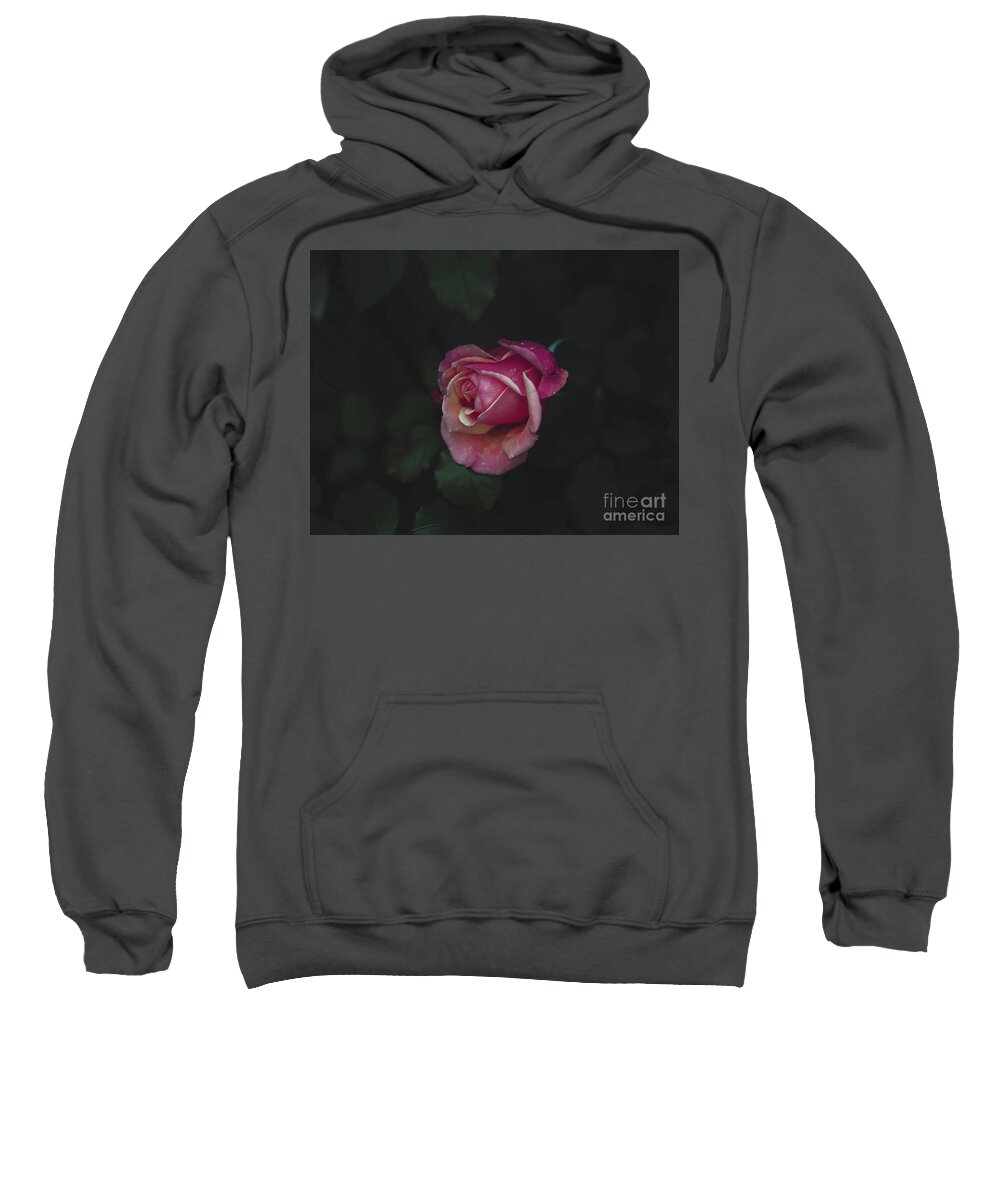 Pink Rose Rose Petals Sweatshirt featuring the photograph Dying Love by Abigail Diane Photography