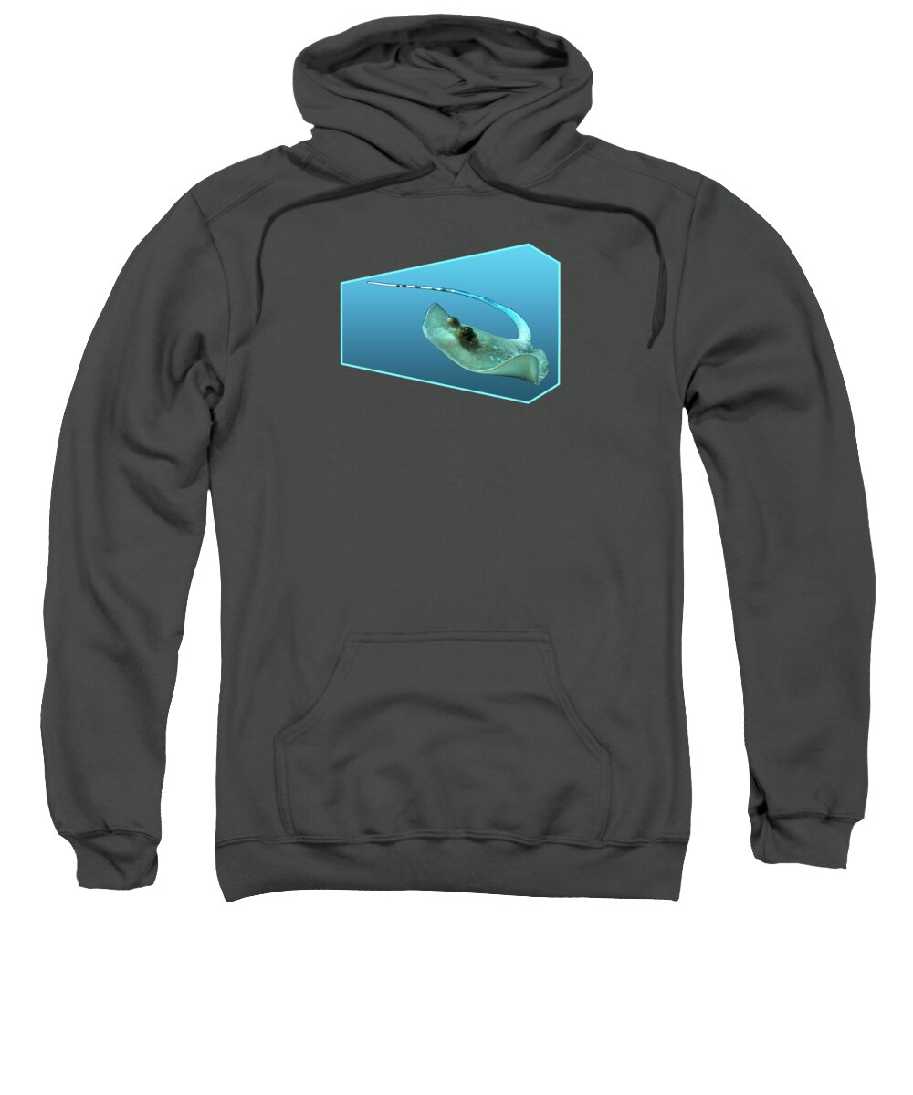 Ray Sweatshirt featuring the mixed media Dynamic stingray - Ray in motion against gradient blue - by Ute Niemann