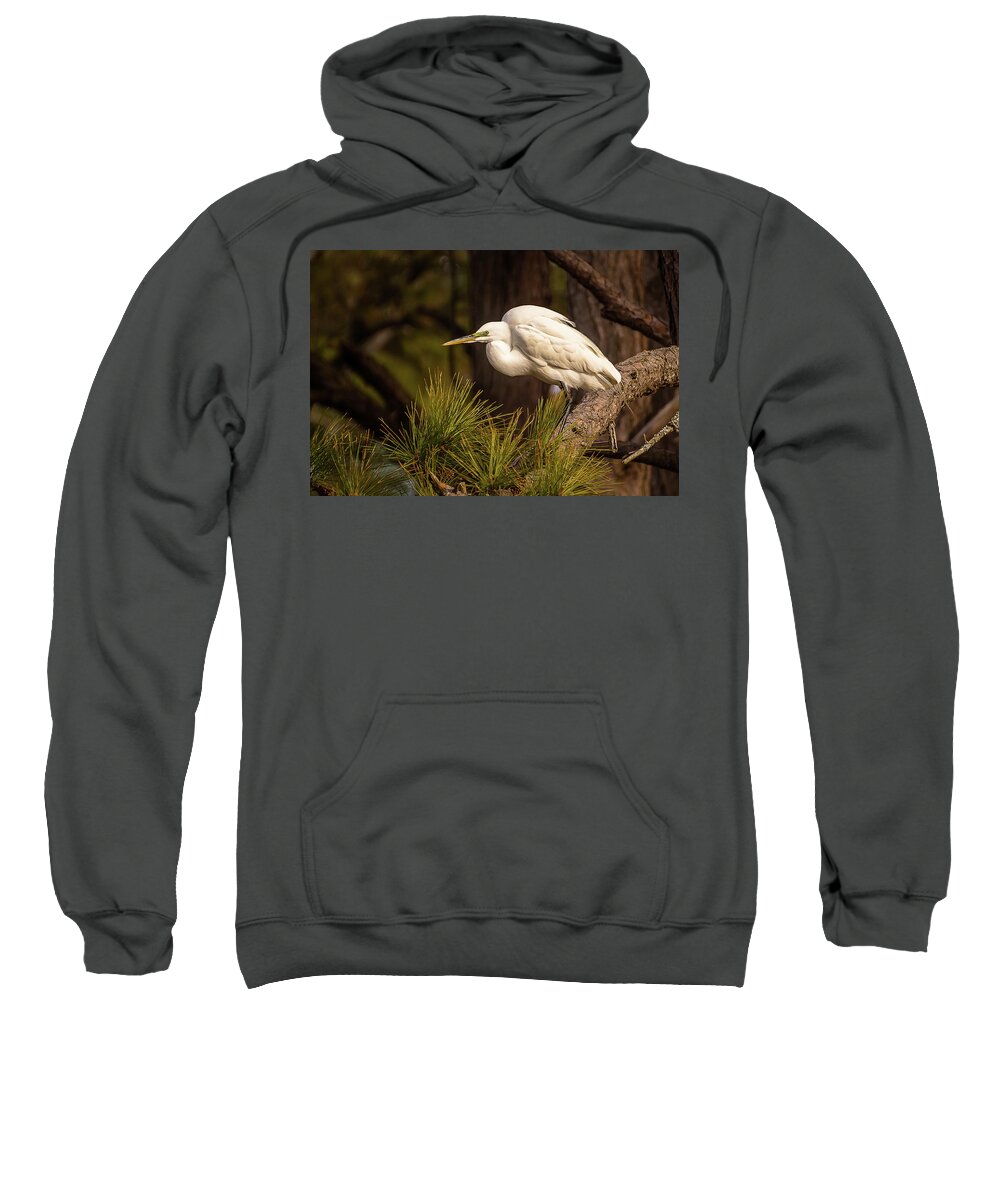 Chincoteague Sweatshirt featuring the photograph Egret at take-off by Robert Miller