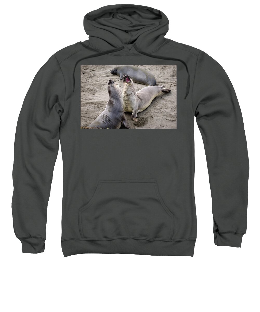 Wildlife Sweatshirt featuring the photograph Elephant Seals Highway 1 California Coast by Mary Lee Dereske