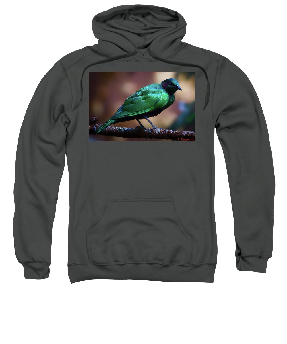 Bird Sweatshirt featuring the photograph Emerald Starling by Rene Vasquez