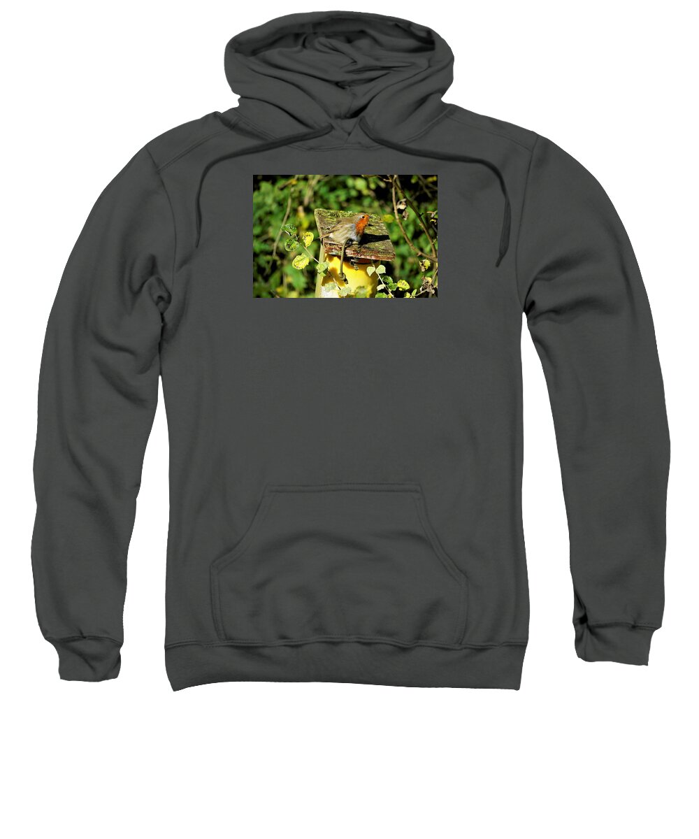 Robin Sweatshirt featuring the photograph English Robin On A Birdhouse by Tranquil Light Photography