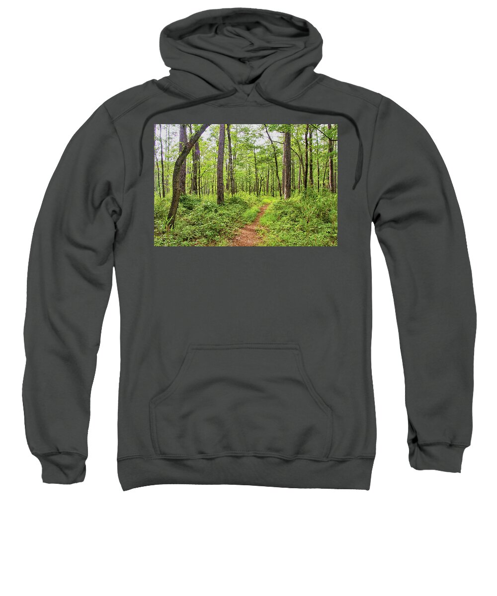 Forest Sweatshirt featuring the photograph Evening Light on the Neusiok Trail by Bob Decker
