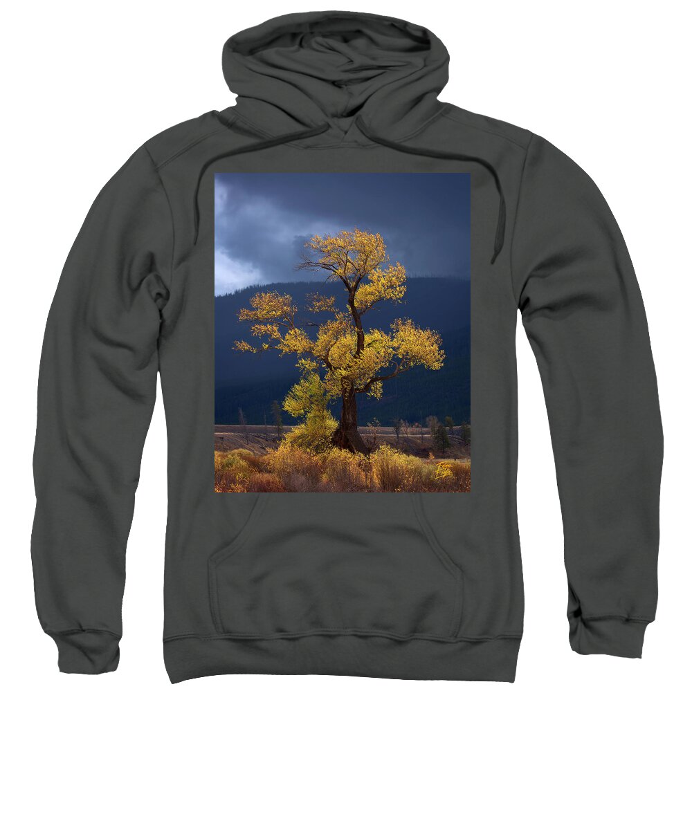 200-400mm Sweatshirt featuring the photograph Facing The Storm by Edgars Erglis