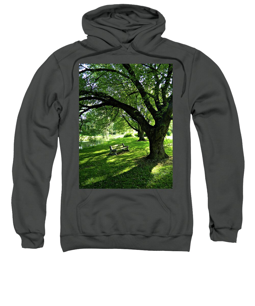 Facing The Willow Sweatshirt featuring the photograph Facing The Willow by Cyryn Fyrcyd