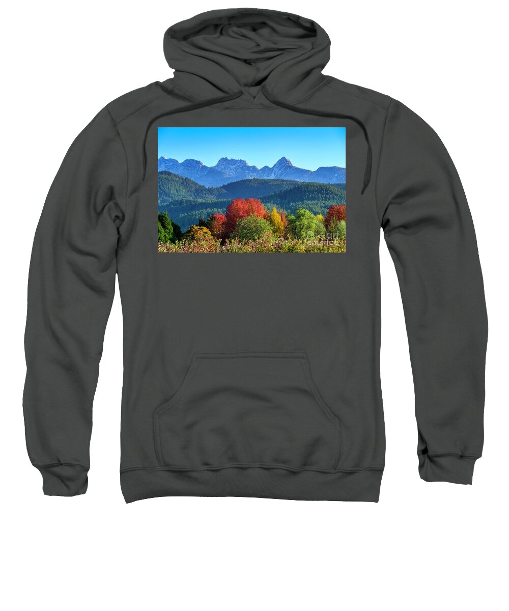 Blanshard Needle Sweatshirt featuring the photograph Fall Color, Pitt Meadows, by Michael Wheatley