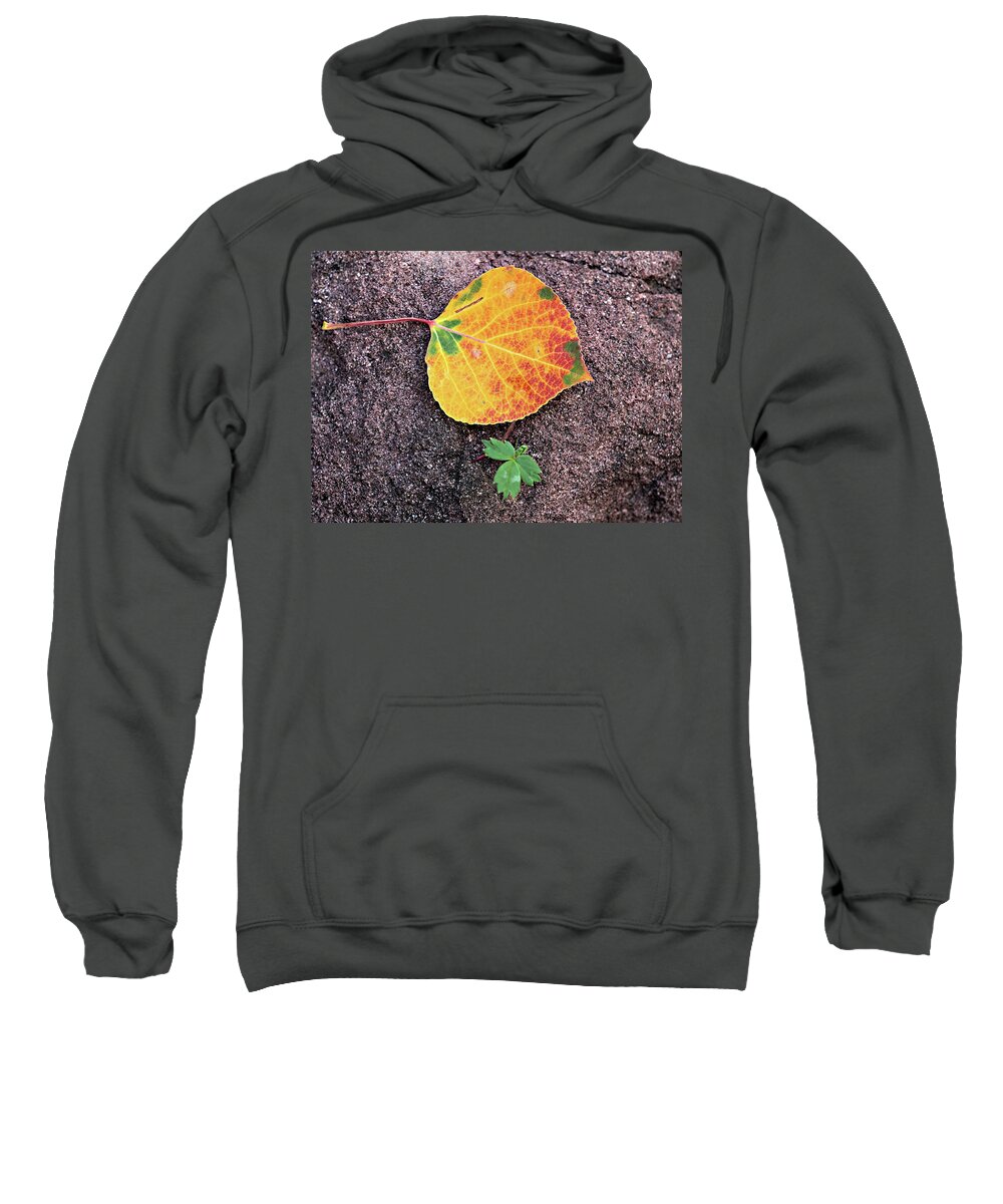 Fall Sweatshirt featuring the photograph Fall Colors on Rock by Bob Falcone