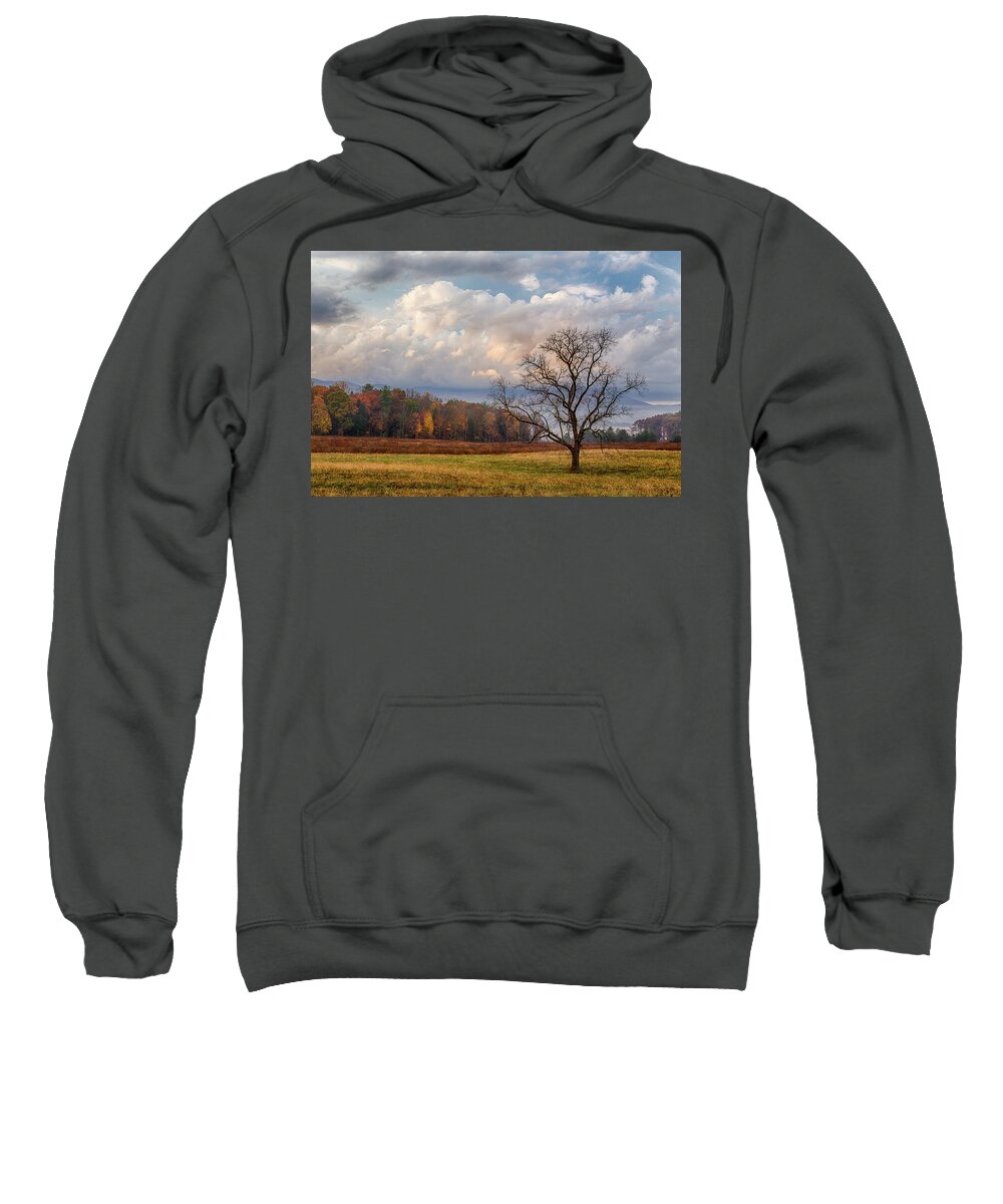  Sweatshirt featuring the photograph Fall Tree by Jim Miller