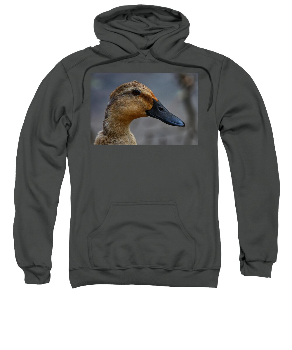 Photo Sweatshirt featuring the photograph Female Duck by Evan Foster